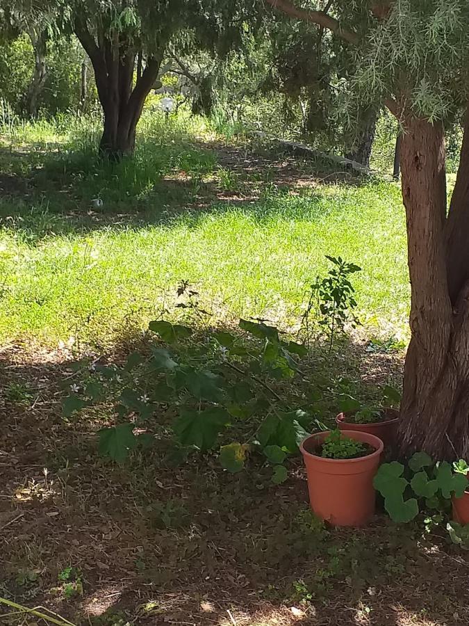 B&B Daillu Olbia Kültér fotó