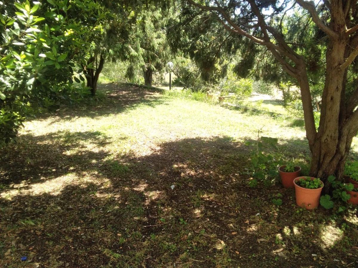 B&B Daillu Olbia Kültér fotó