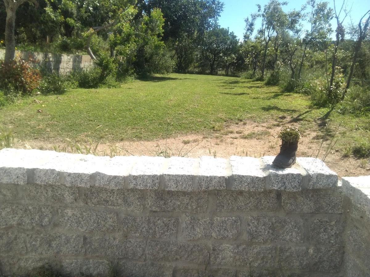 B&B Daillu Olbia Kültér fotó